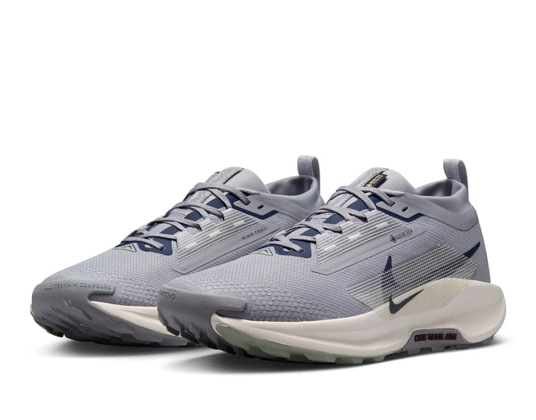 Nike pegasus